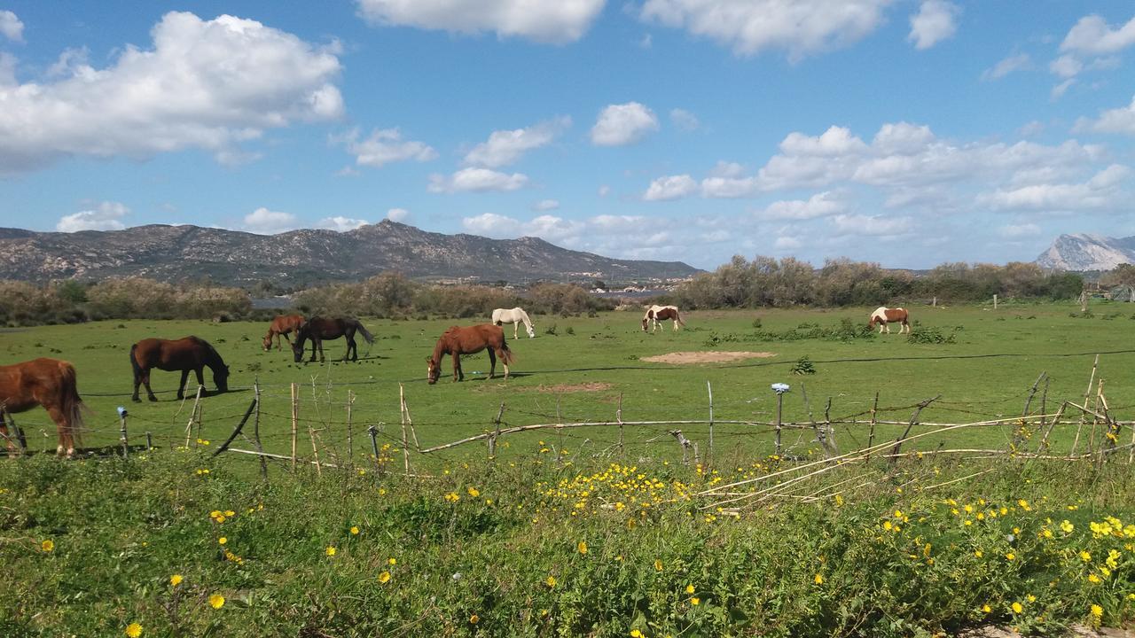 Settimo Cielo Bed & Breakfast San Teodoro  Eksteriør bilde
